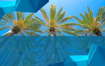 Unlocking Tampa’s Online Potential: Proven SEO Strategies from Renaissance SEO Agency Tampa