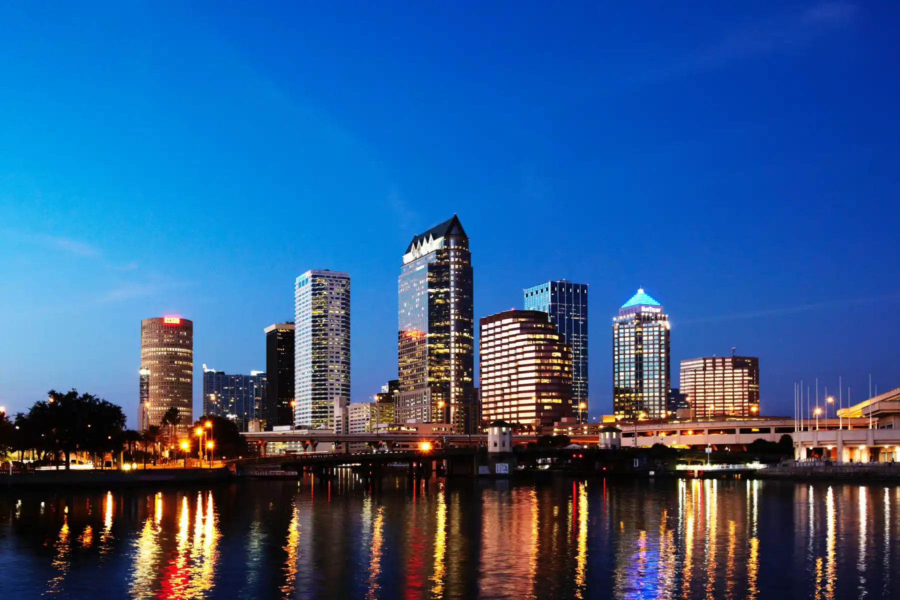 tampa florida skyline